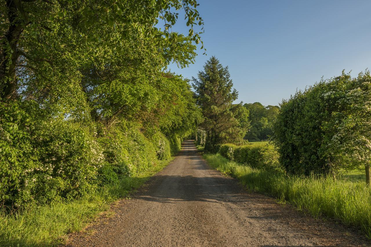 Mill Lodge B&B Banbridge Esterno foto